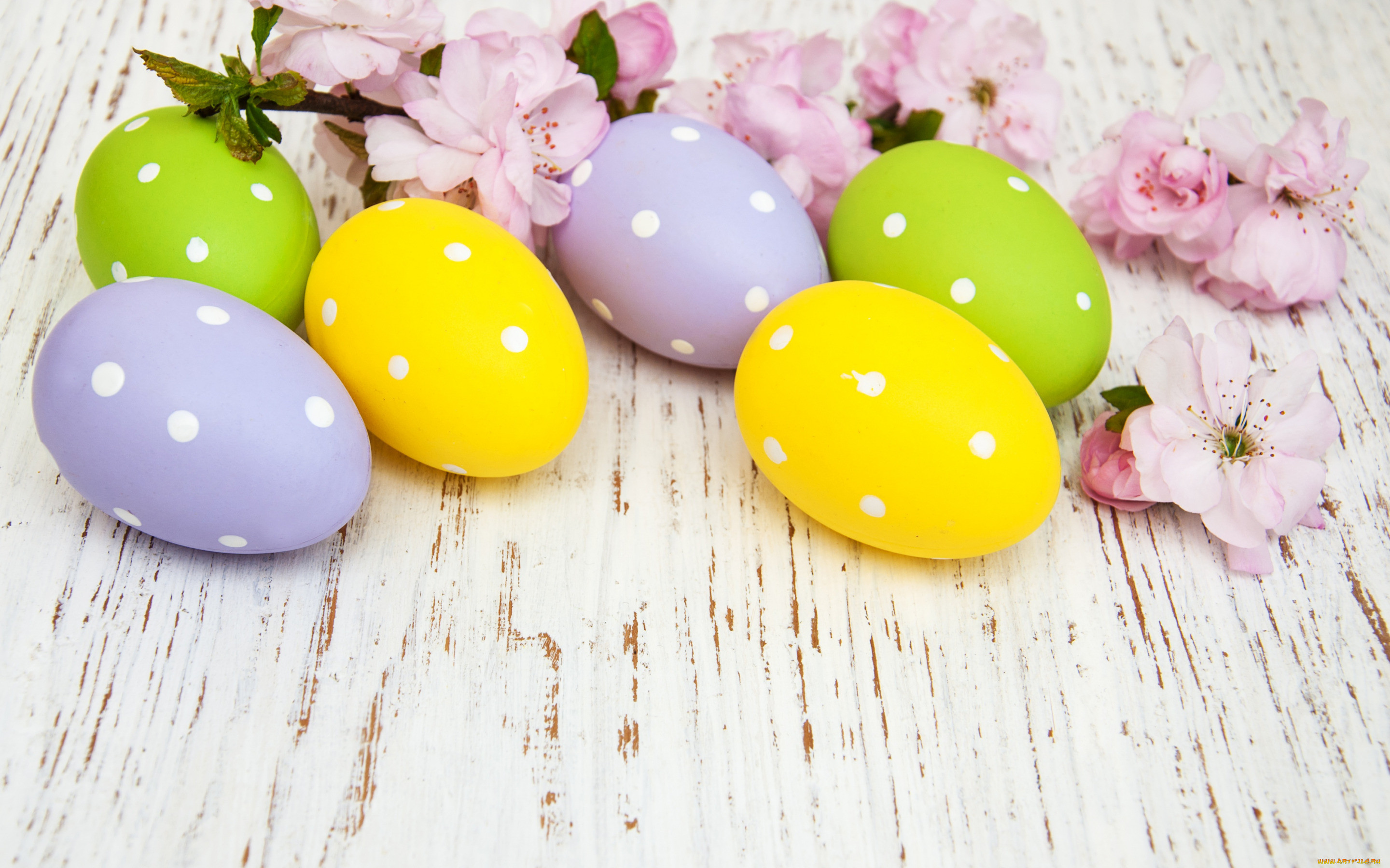 , , , , colorful, happy, wood, blossom, flowers, spring, easter, eggs, decoration